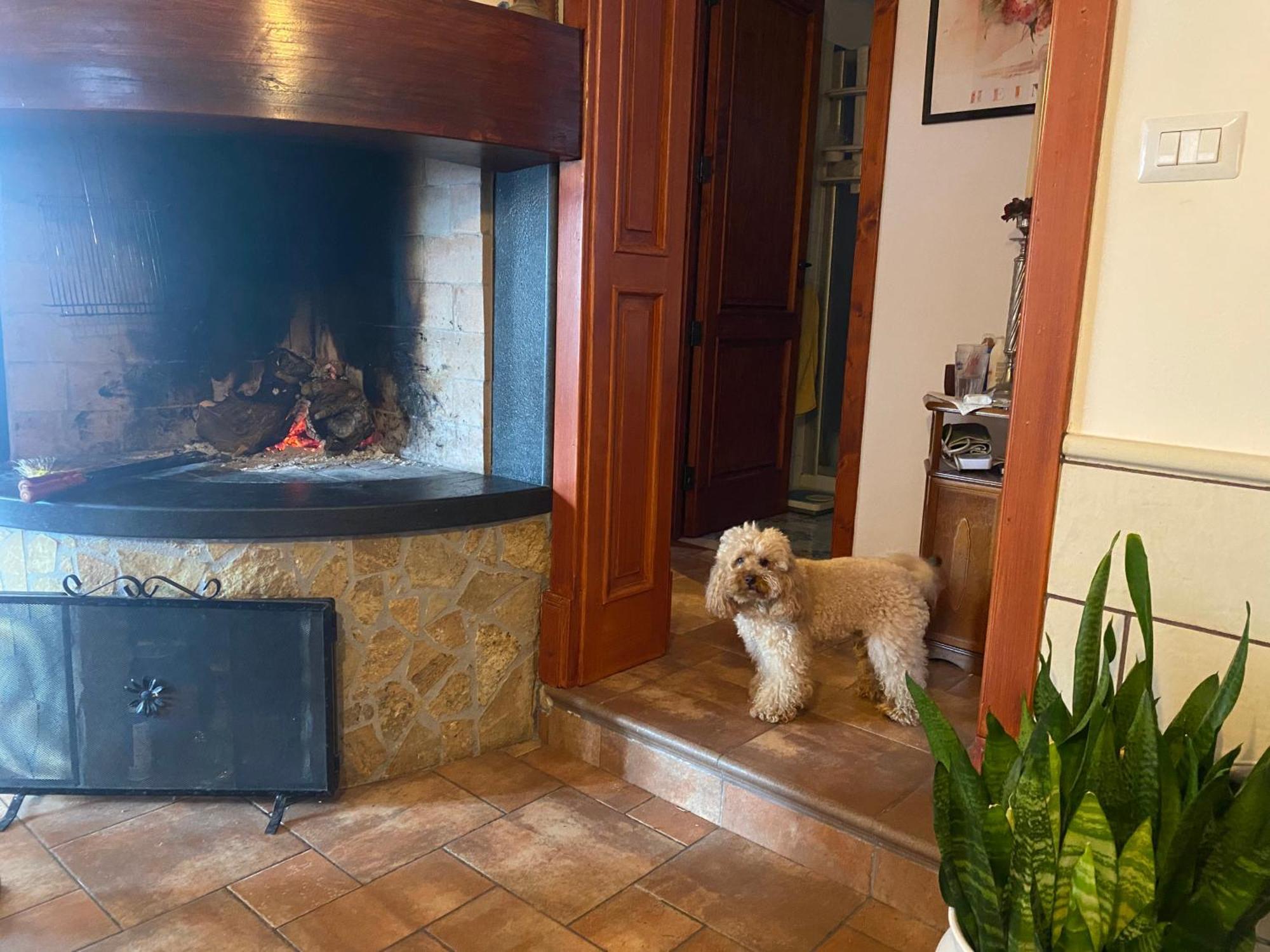Masseria Tre Archi & Apulia Relais Gentiluomo ห้อง รูปภาพ